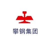 攀鋼集團(tuán)